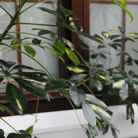 Pensjonat Costa De La Luz 4*