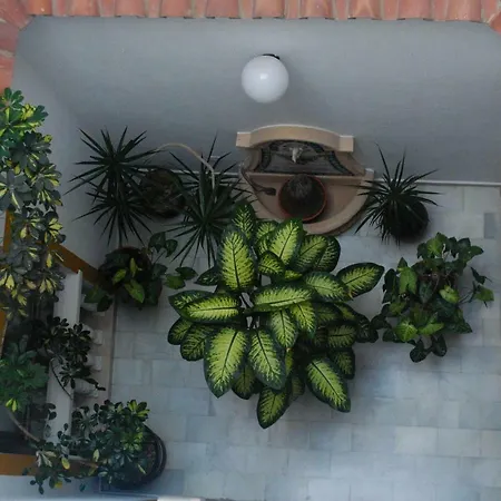 Гостьовий будинок Costa De La Luz