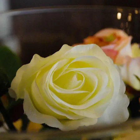 Costa De La Luz Conil De La Frontera