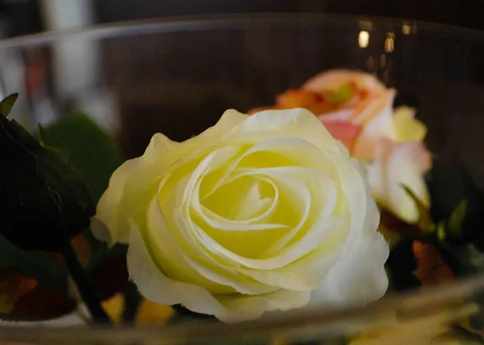 Costa De La Luz Conil De La Frontera