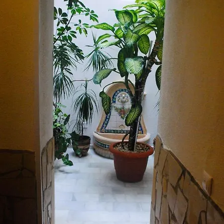 Costa De La Luz בית הארחה קוניל דה לה פרונטרה