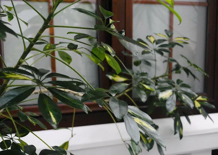 Gasthof Costa De La Luz 4*